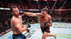 Apuestas en Vivo UFC 2026: Guia de Betting In-Play MMA